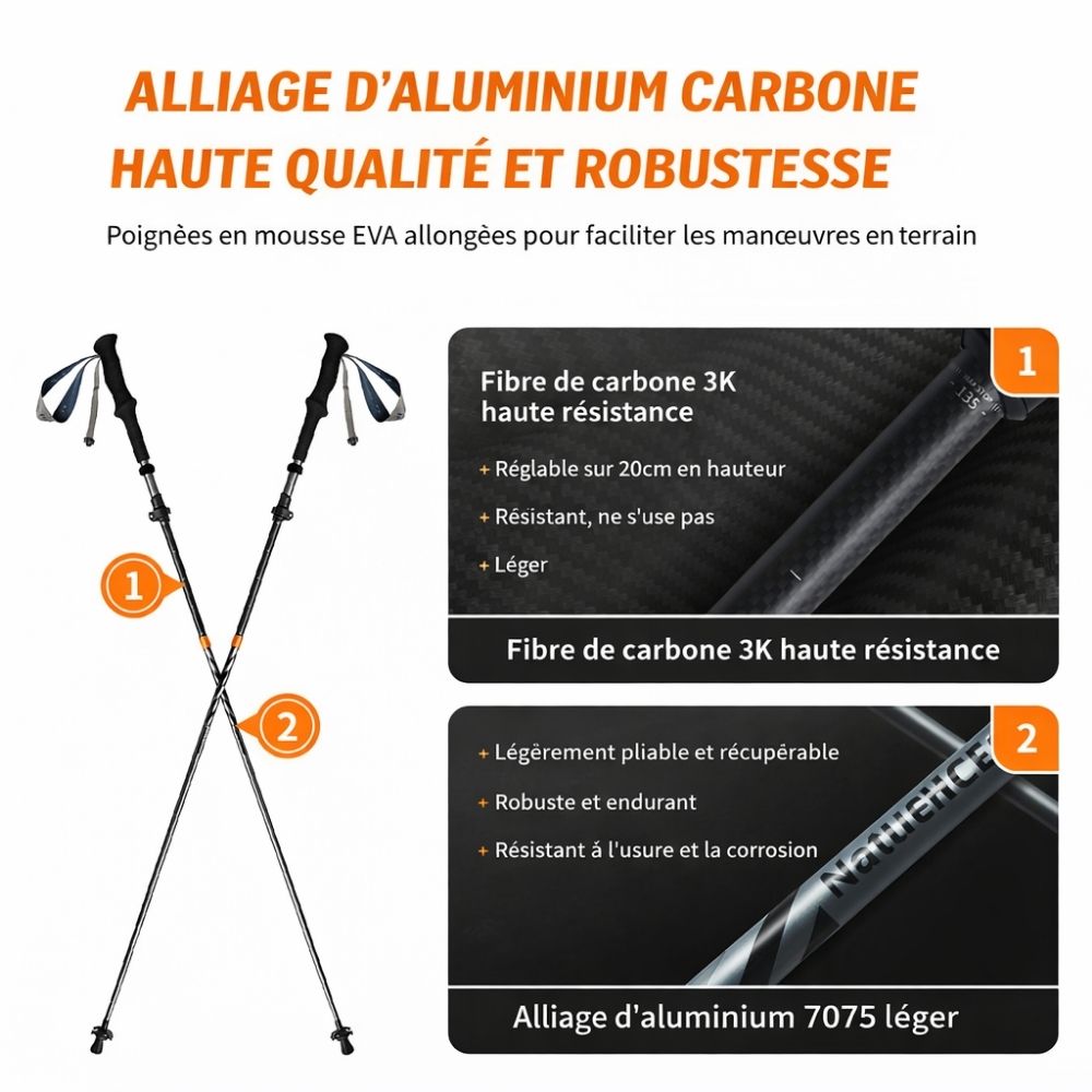 Bâton De Randonnée Grippe