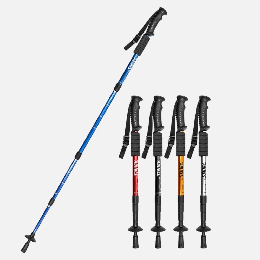 Stick De Randonnée