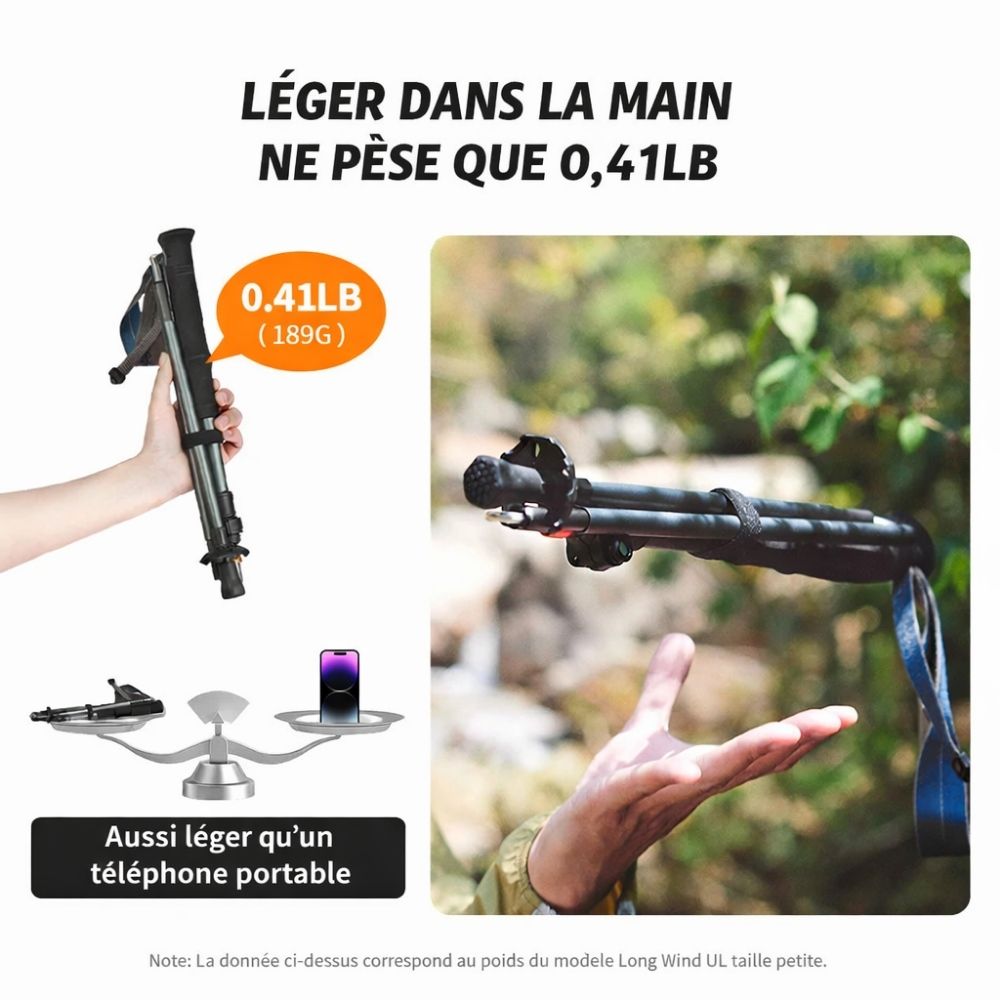 Bâton De Randonnée Grippe