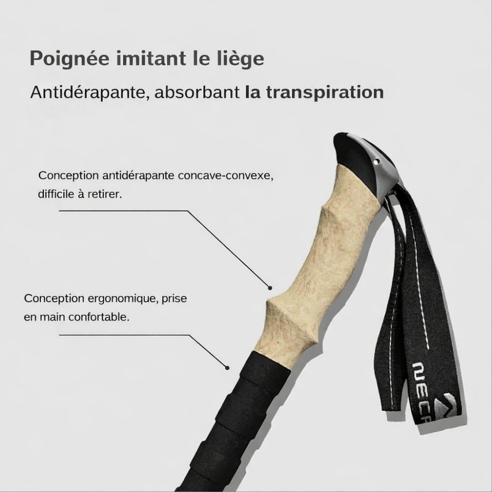 Bâton De Randonnée Télescopique