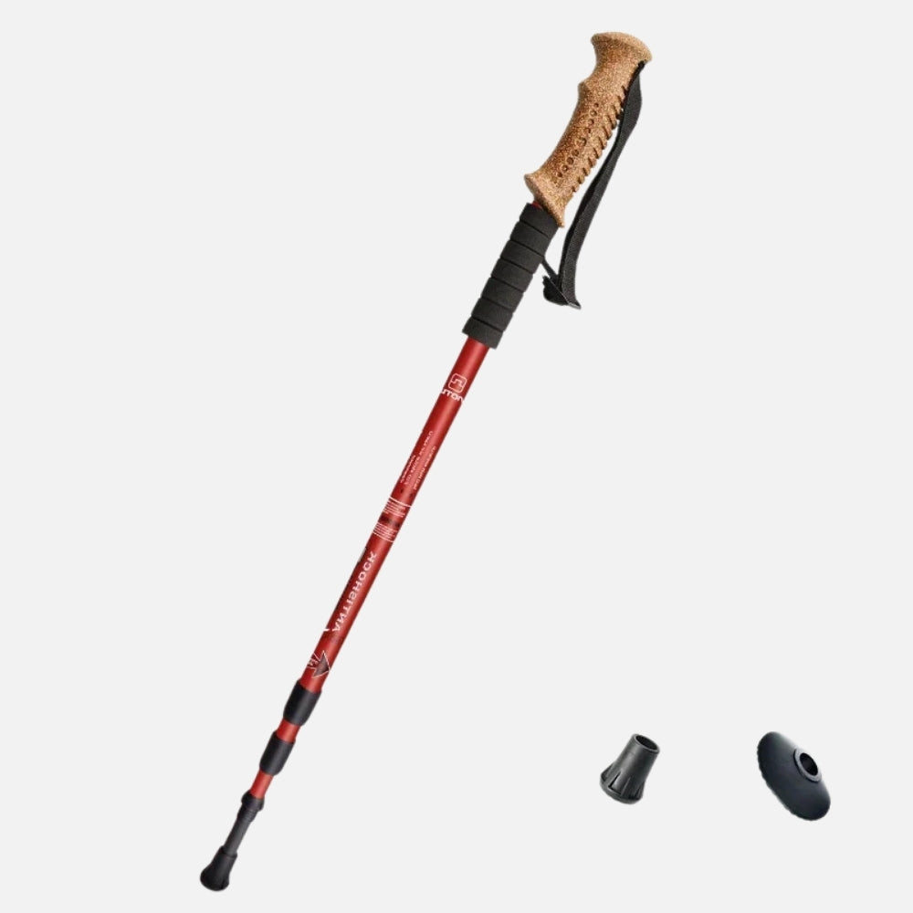 Bâton De Randonnée Alu