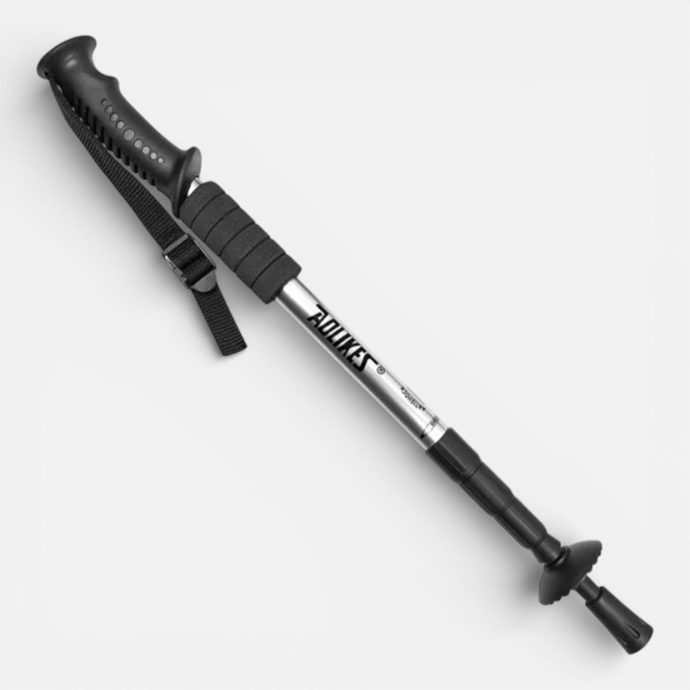 Stick De Randonnée