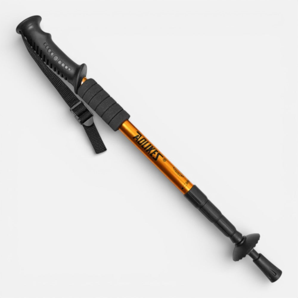 Stick De Randonnée
