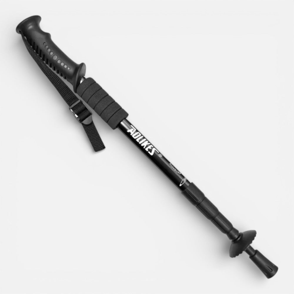Stick De Randonnée