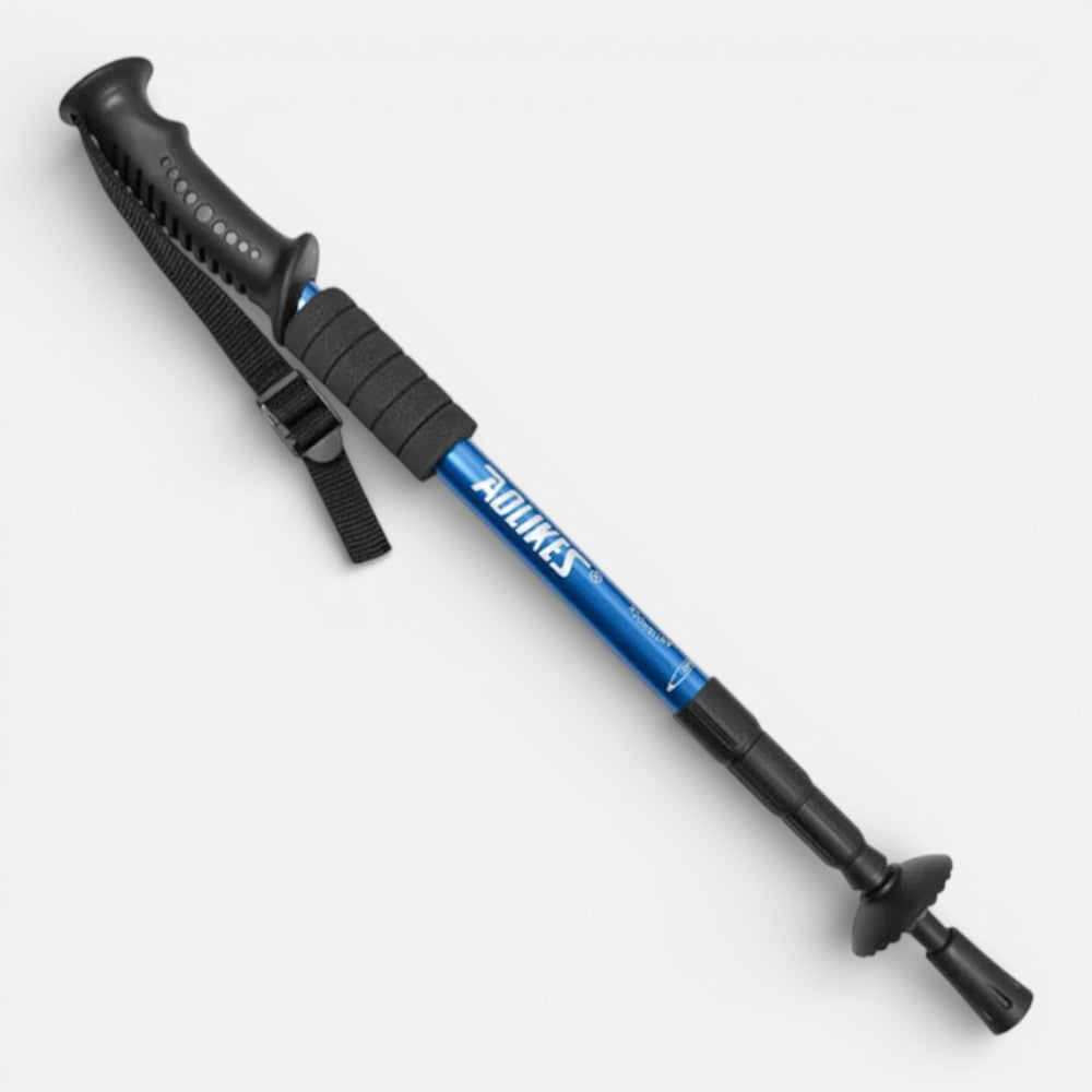 Stick De Randonnée