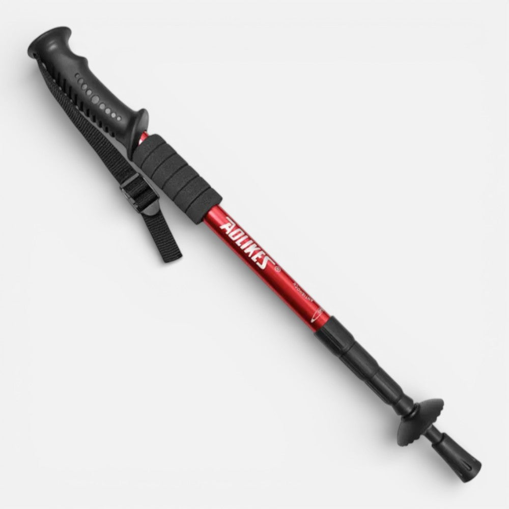 Stick De Randonnée